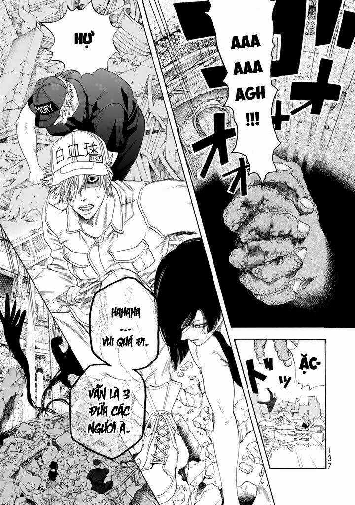 Hataraku Saibou! Chapter 23 trang 30