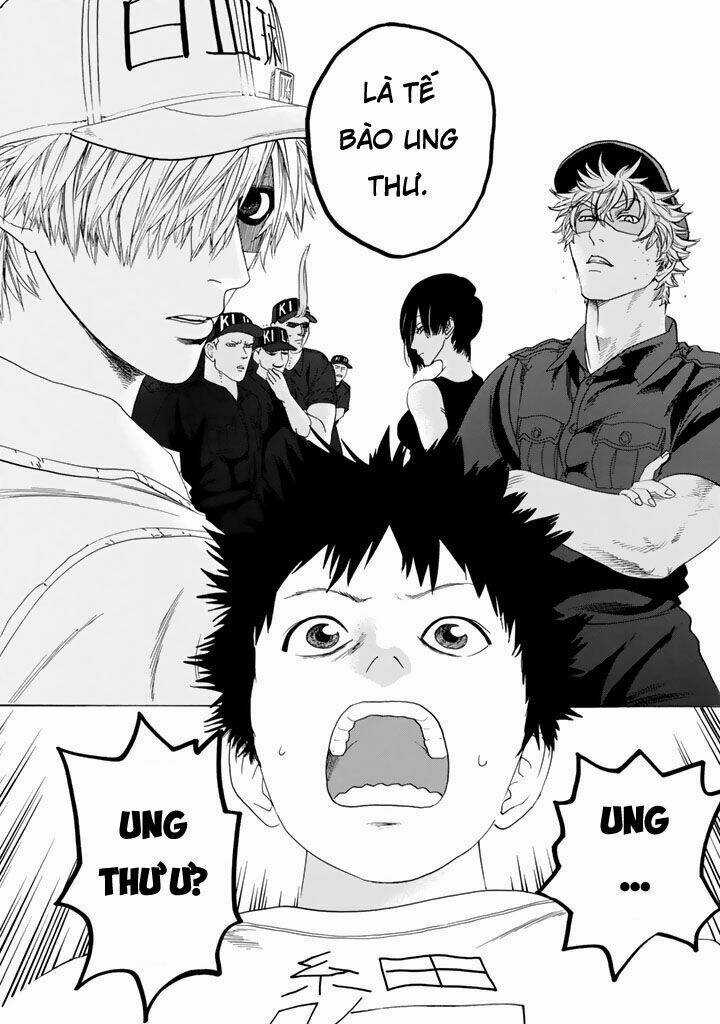 Hataraku Saibou! Chapter 23 trang 9