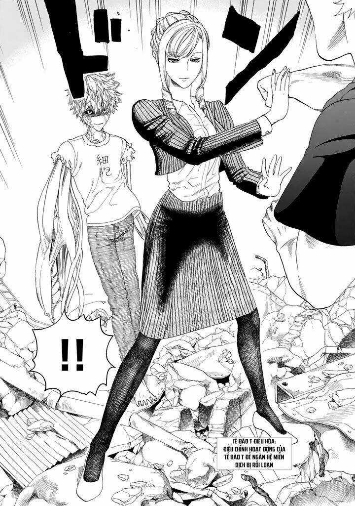 Hataraku Saibou! Chapter 24 trang 11