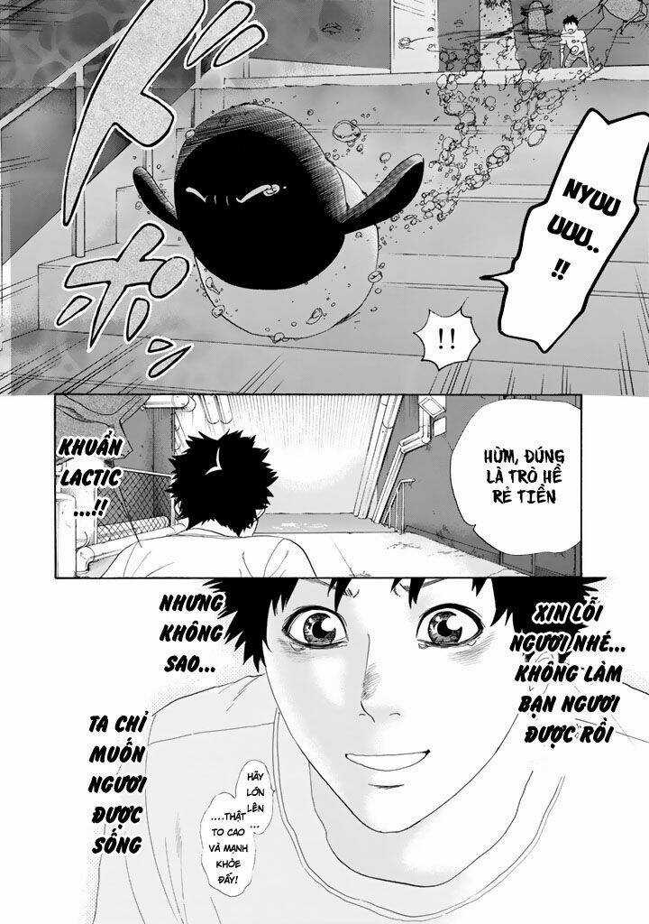 Hataraku Saibou! Chapter 24 trang 21