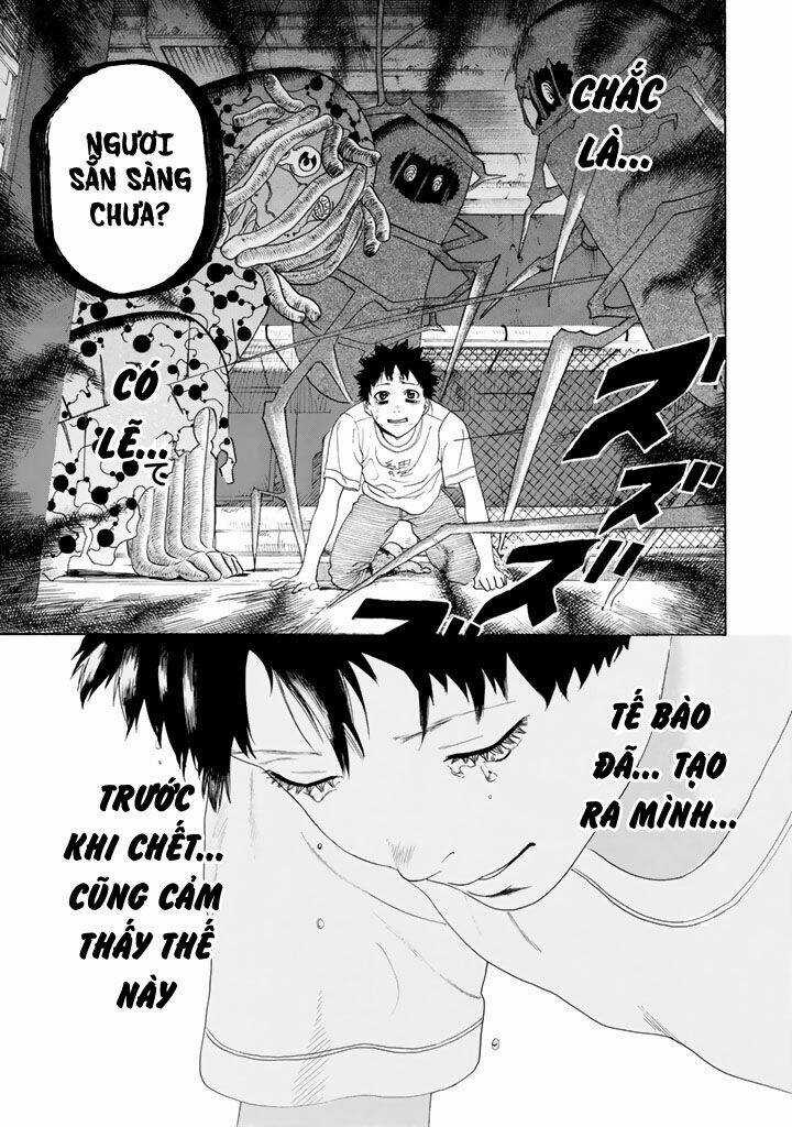 Hataraku Saibou! Chapter 24 trang 22