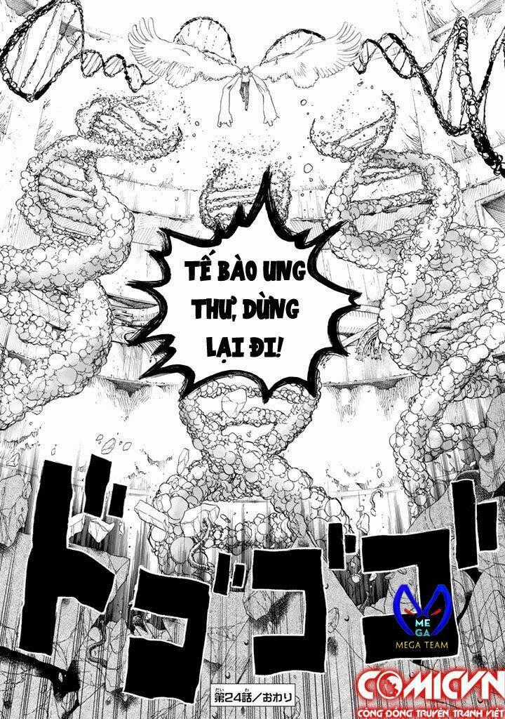 Hataraku Saibou! Chapter 24 trang 32