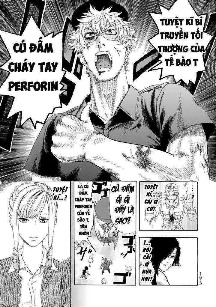 Hataraku Saibou! Chapter 25 trang 20