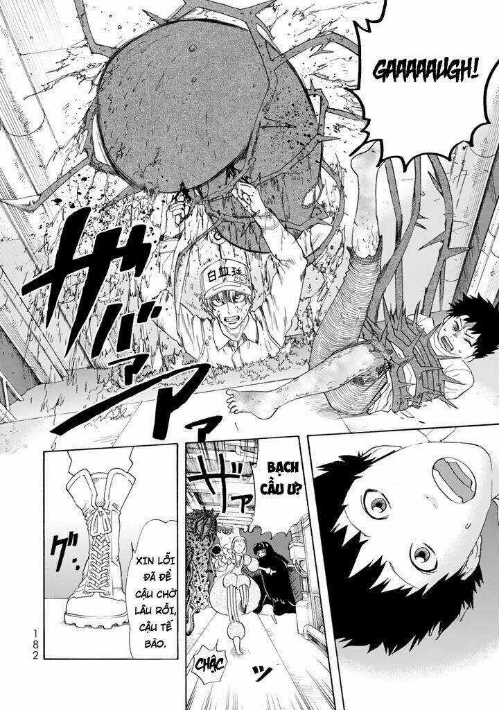 Hataraku Saibou! Chapter 25 trang 7