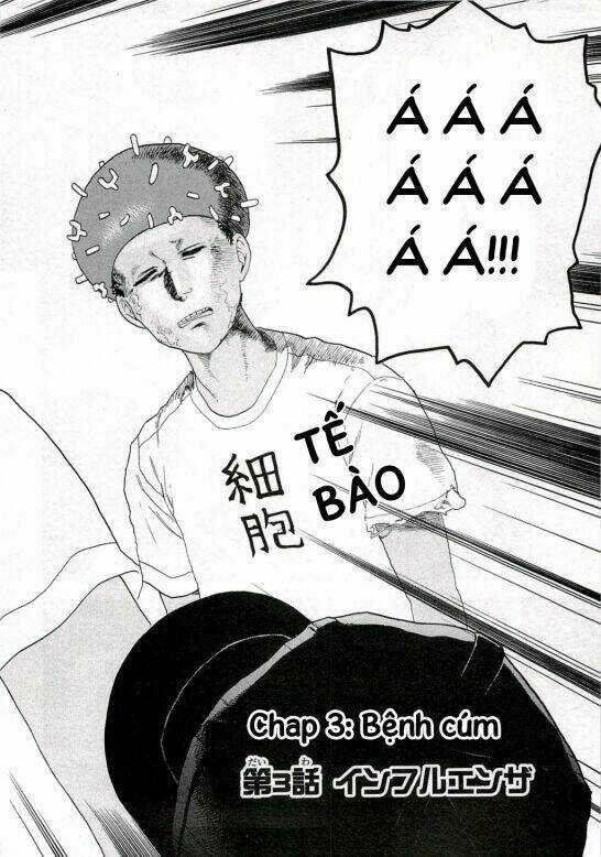 Hataraku Saibou! Chapter 3 trang 3