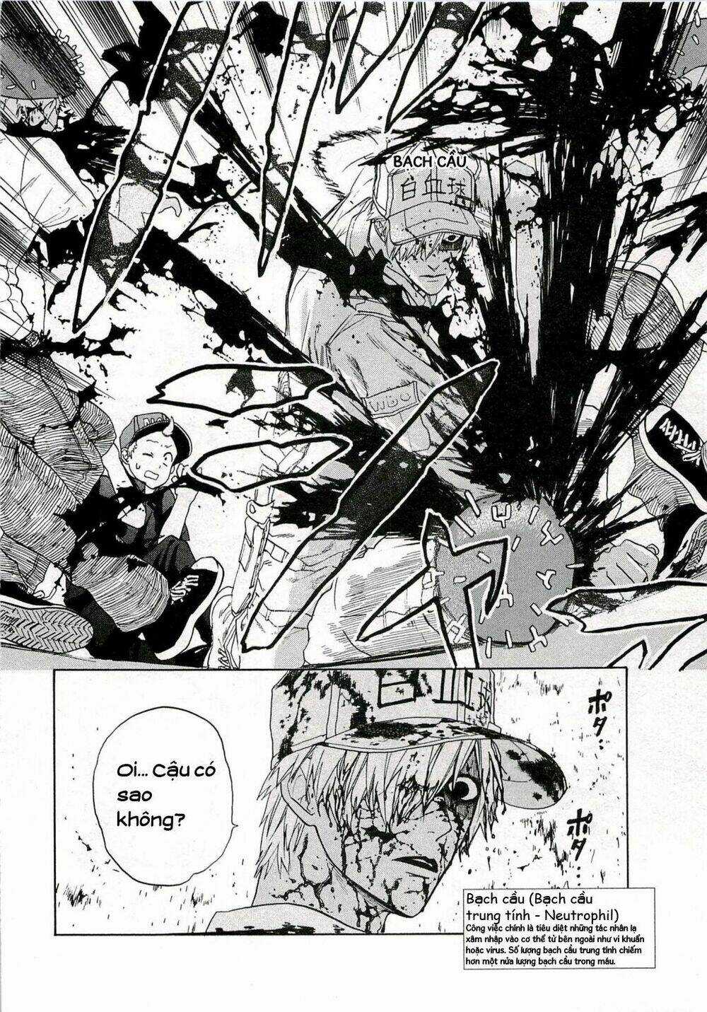 Hataraku Saibou! Chapter 3 trang 6