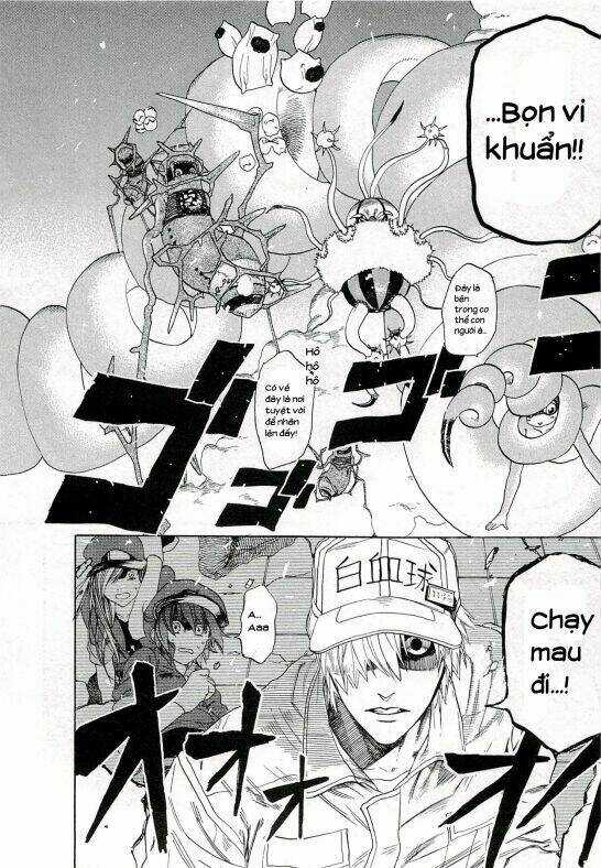 Hataraku Saibou! Chapter 4 trang 11
