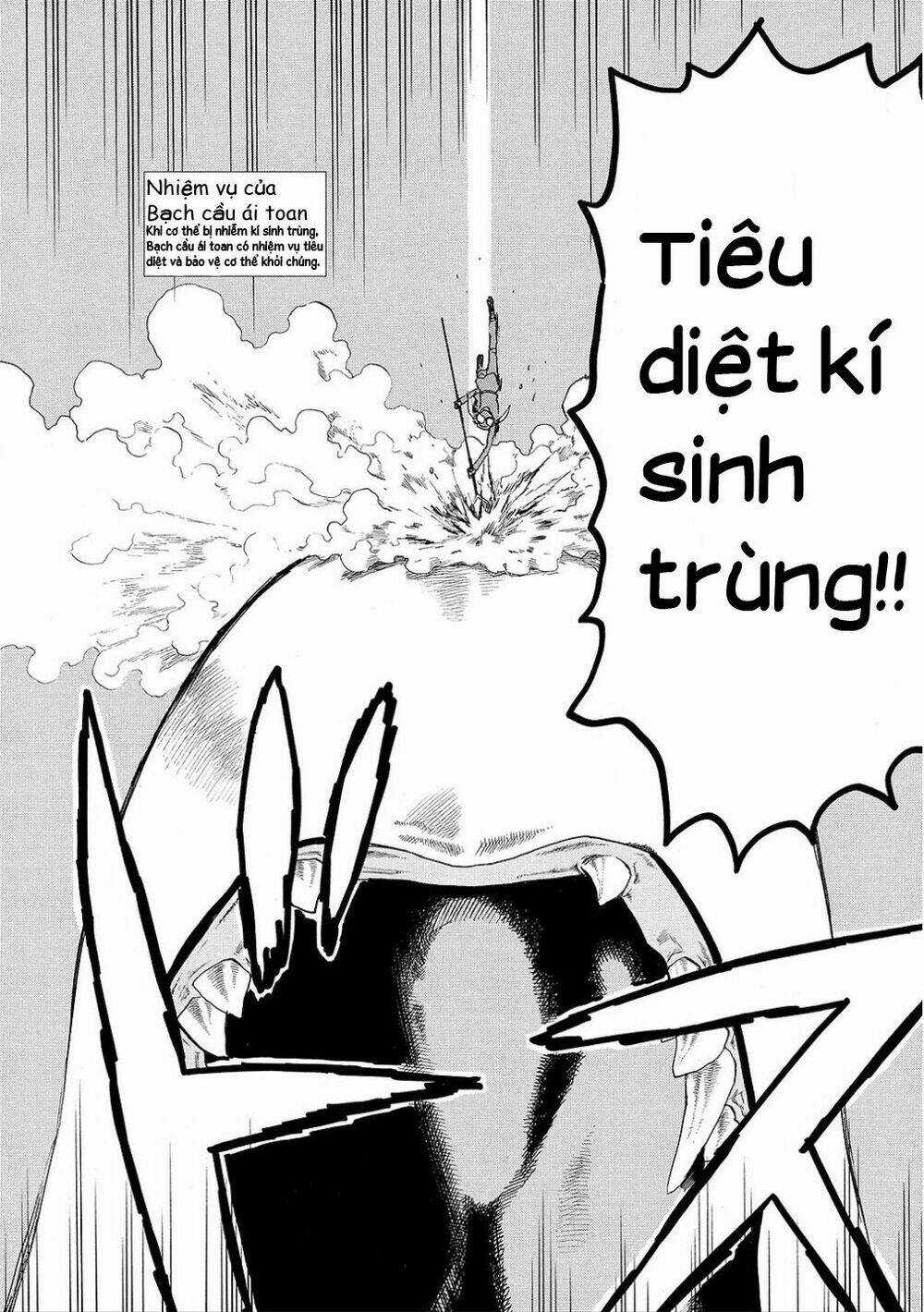 Hataraku Saibou! Chapter 5 trang 25