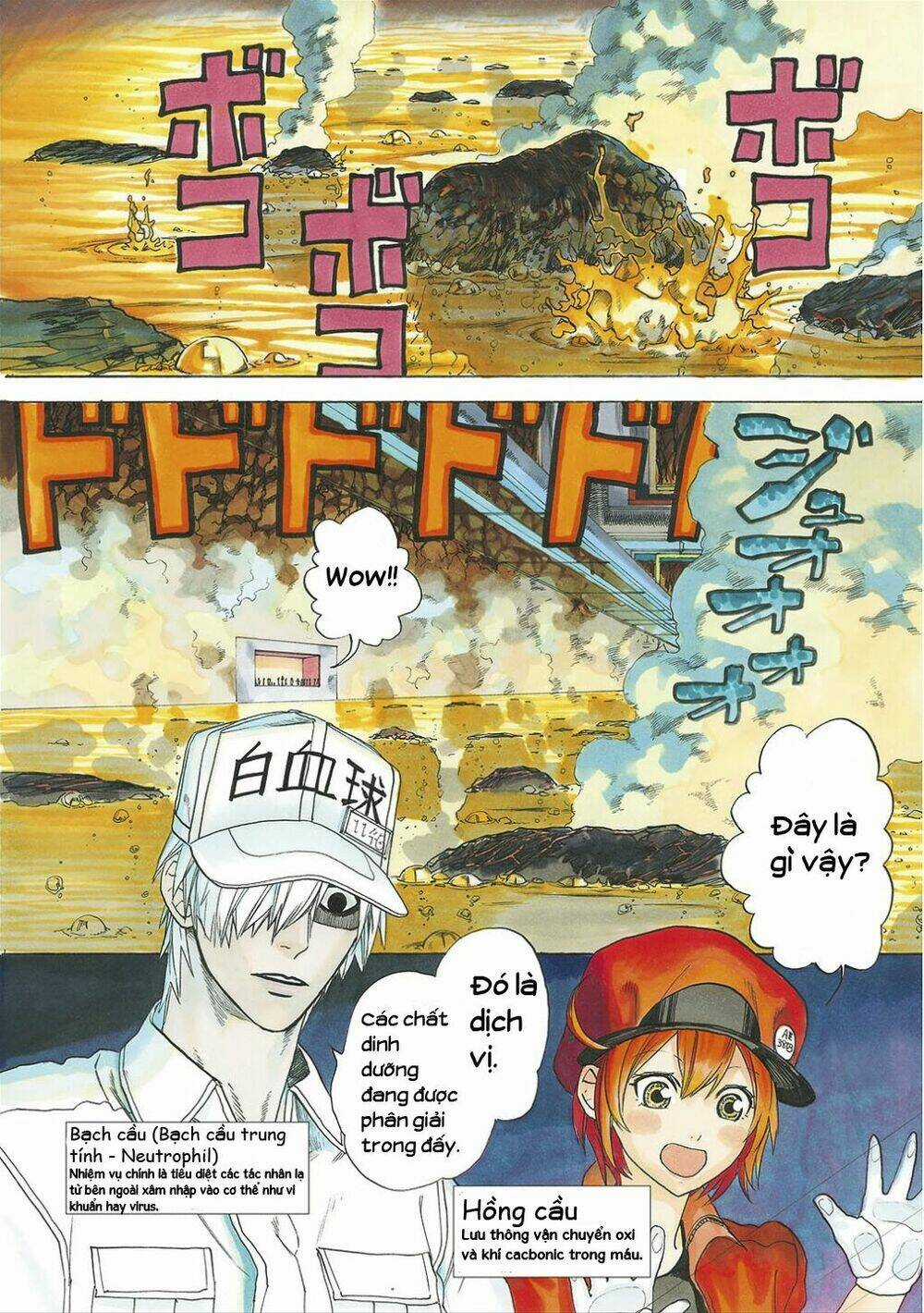 Hataraku Saibou! Chapter 5 trang 3