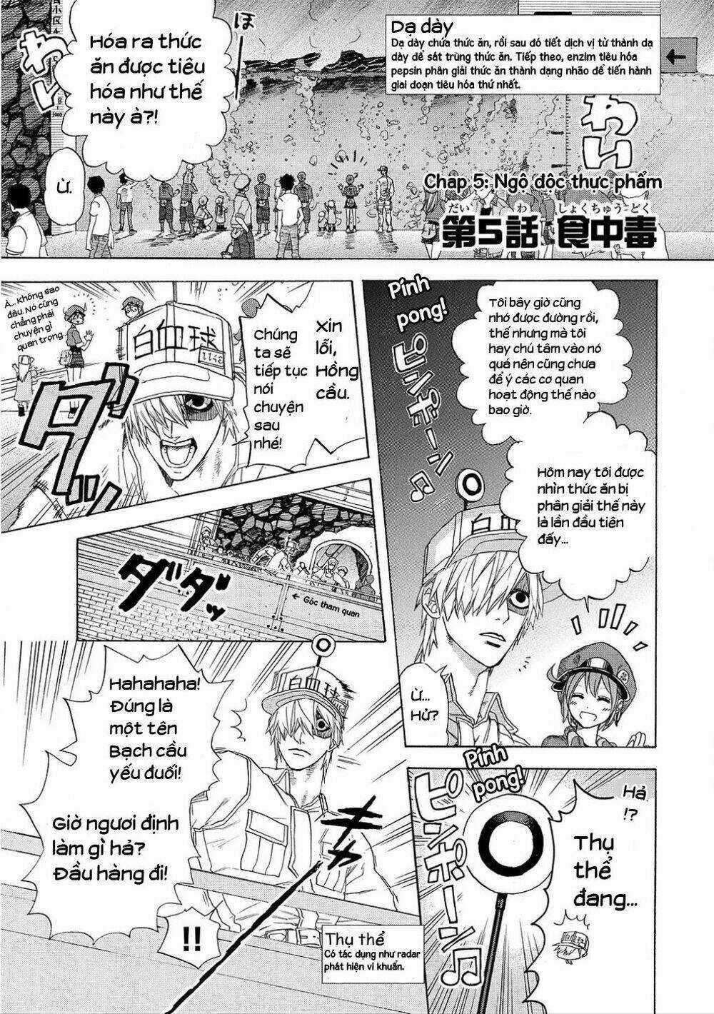 Hataraku Saibou! Chapter 5 trang 4