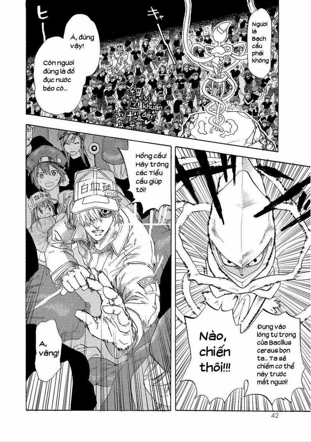 Hataraku Saibou! Chapter 6 trang 12