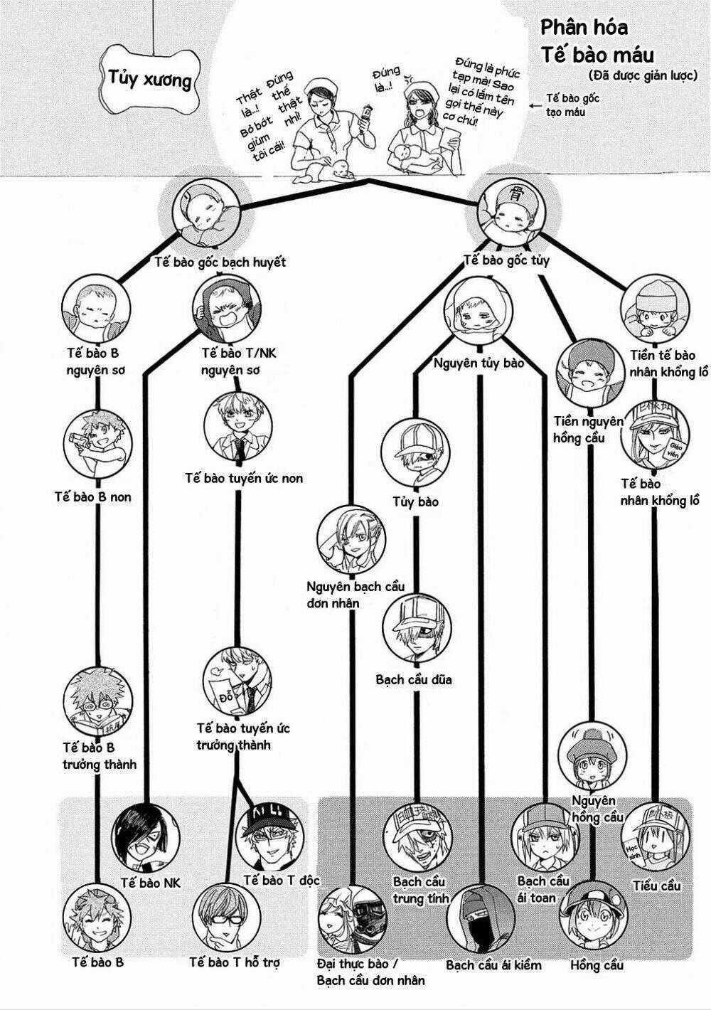 Hataraku Saibou! Chapter 6 trang 32