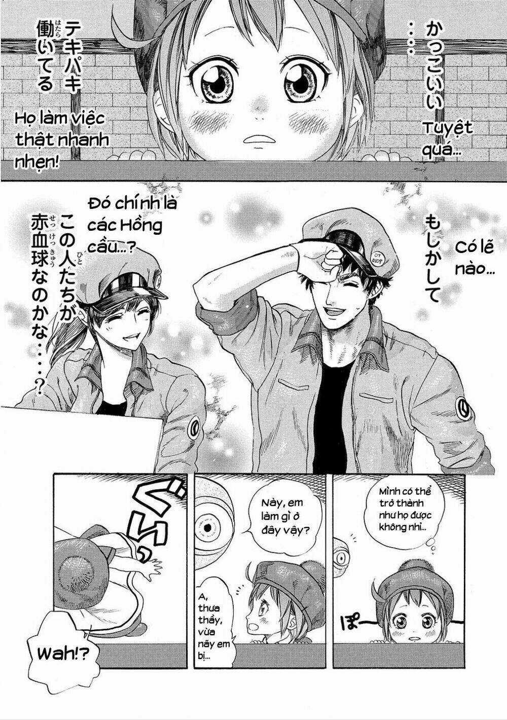 Hataraku Saibou! Chapter 7 trang 12