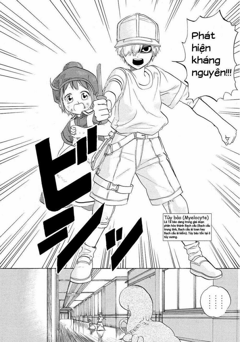 Hataraku Saibou! Chapter 7 trang 19