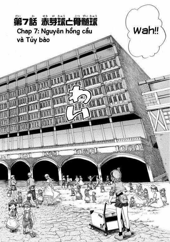 Hataraku Saibou! Chapter 7 trang 2