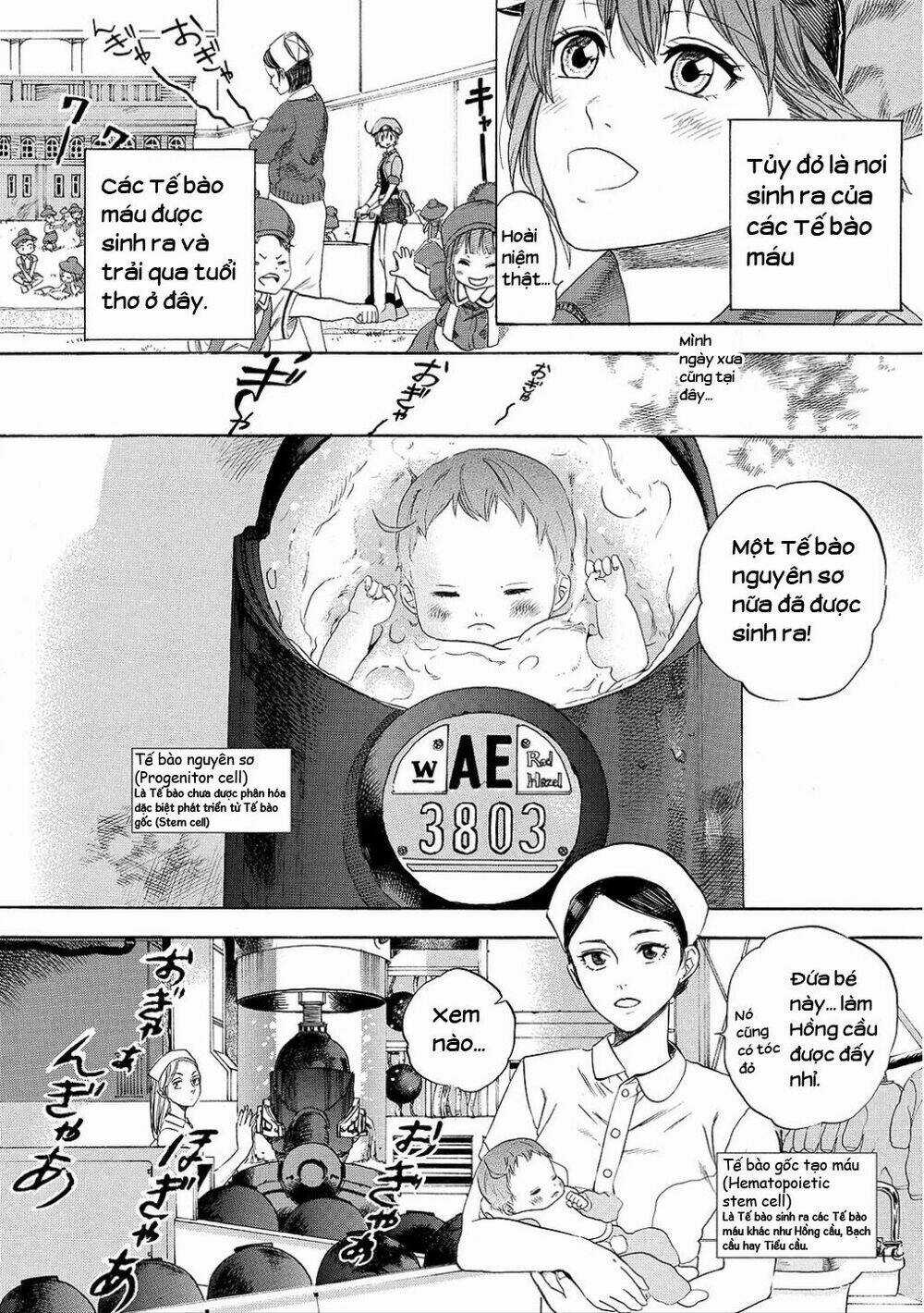 Hataraku Saibou! Chapter 7 trang 3