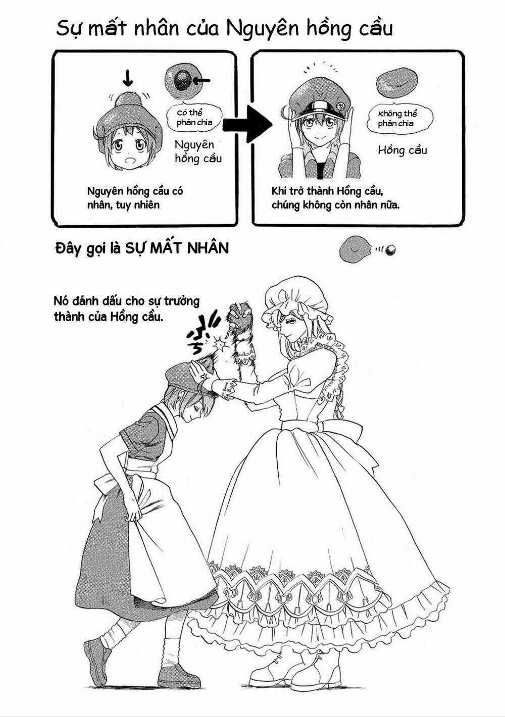 Hataraku Saibou! Chapter 7 trang 30