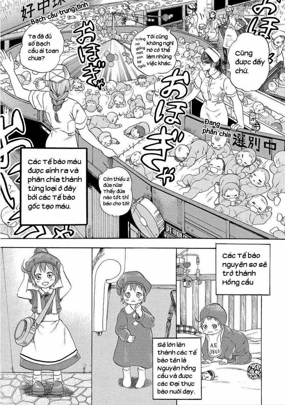 Hataraku Saibou! Chapter 7 trang 4