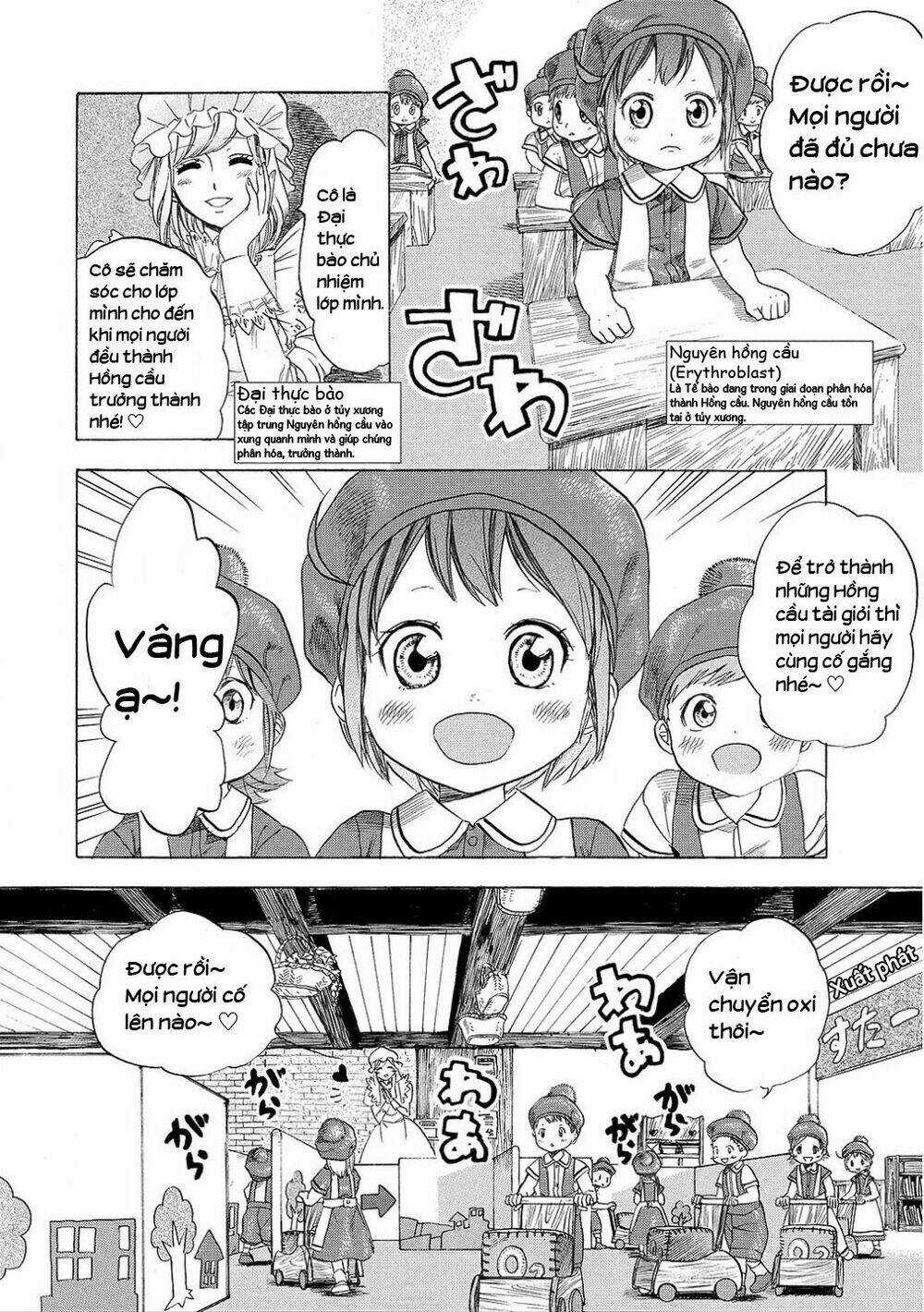 Hataraku Saibou! Chapter 7 trang 5