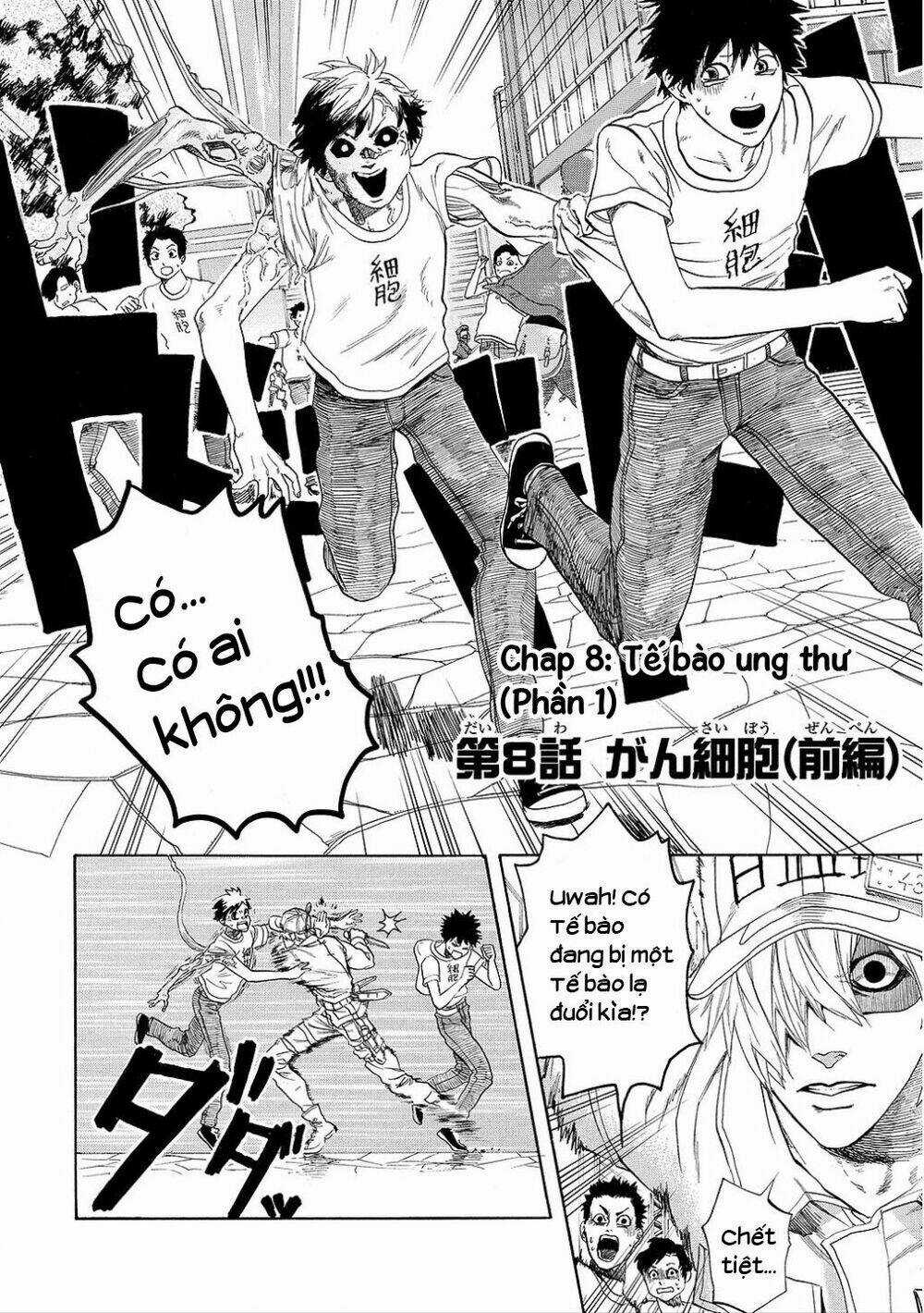 Hataraku Saibou! Chapter 8 trang 2