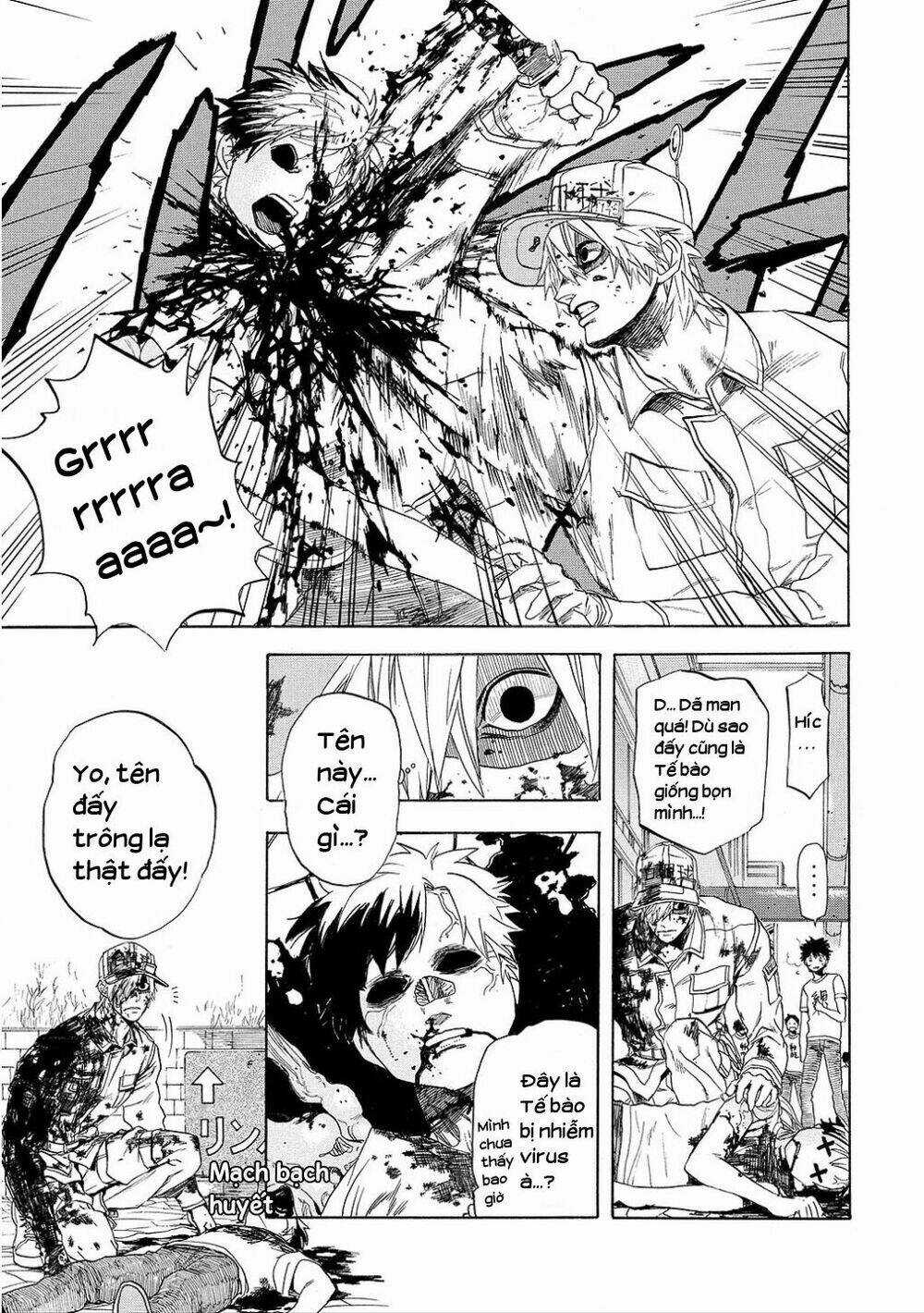 Hataraku Saibou! Chapter 8 trang 3