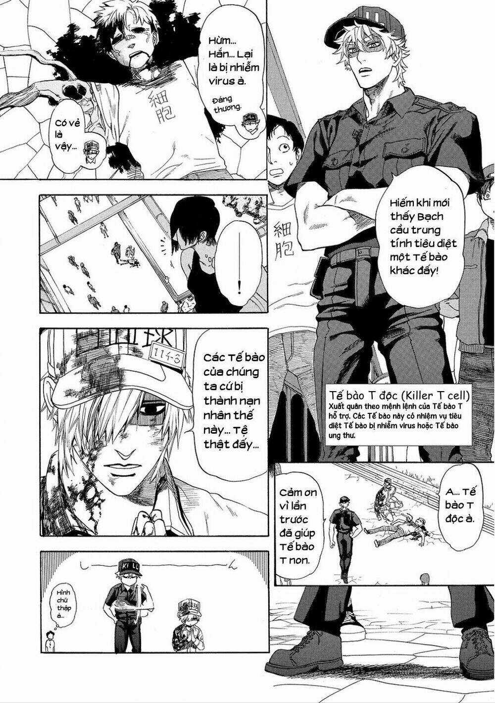 Hataraku Saibou! Chapter 8 trang 4