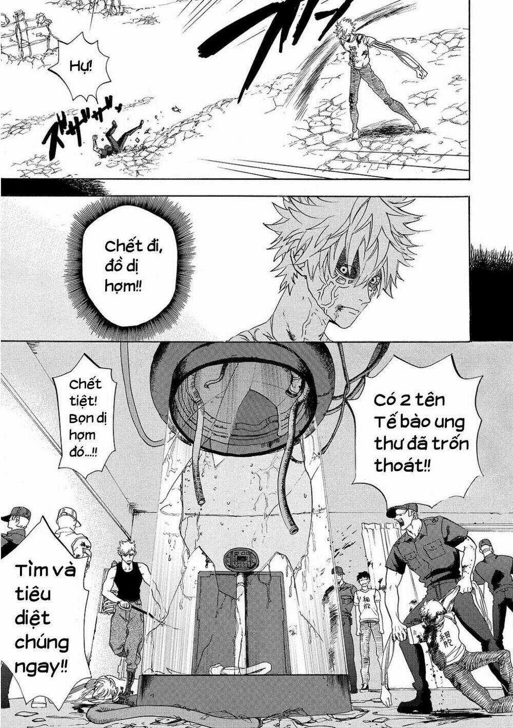 Hataraku Saibou! Chapter 9 trang 22