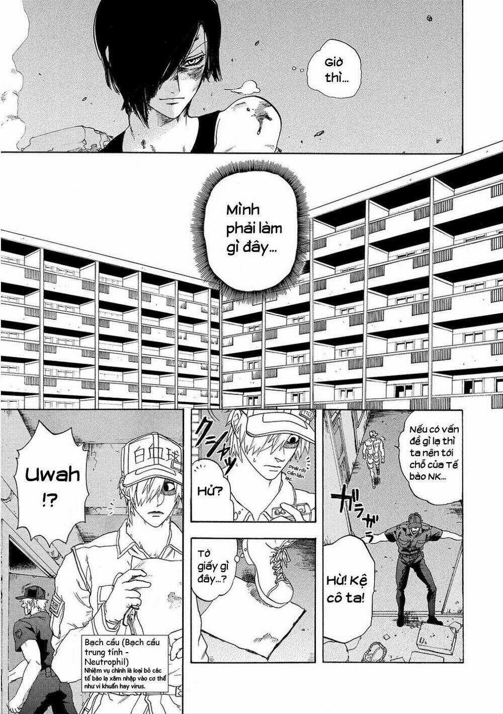 Hataraku Saibou! Chapter 9 trang 4