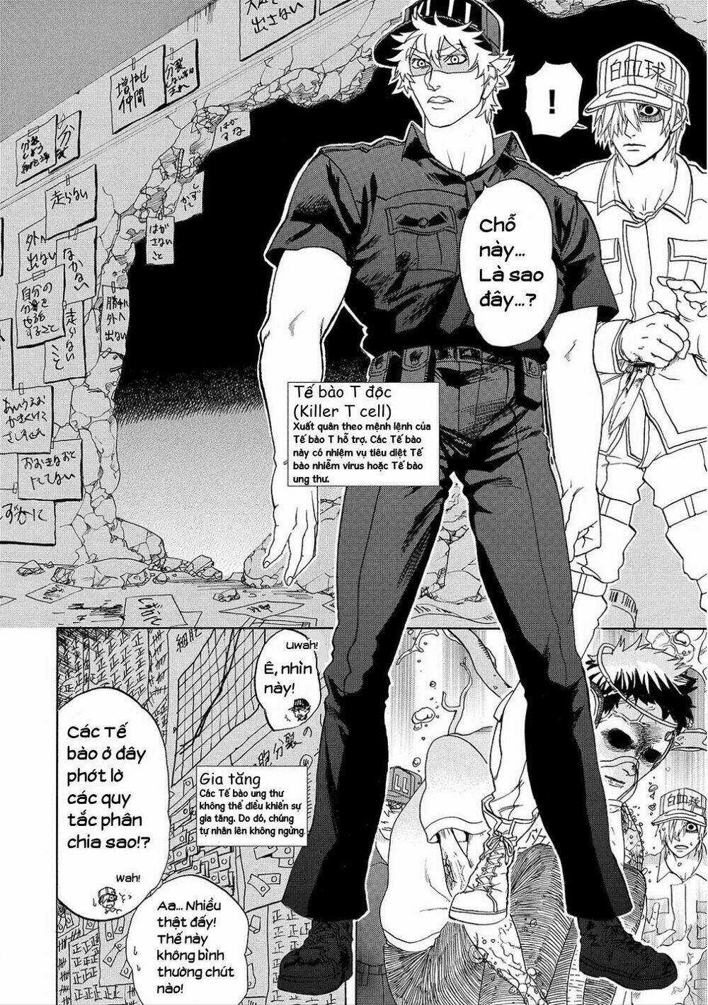 Hataraku Saibou! Chapter 9 trang 5