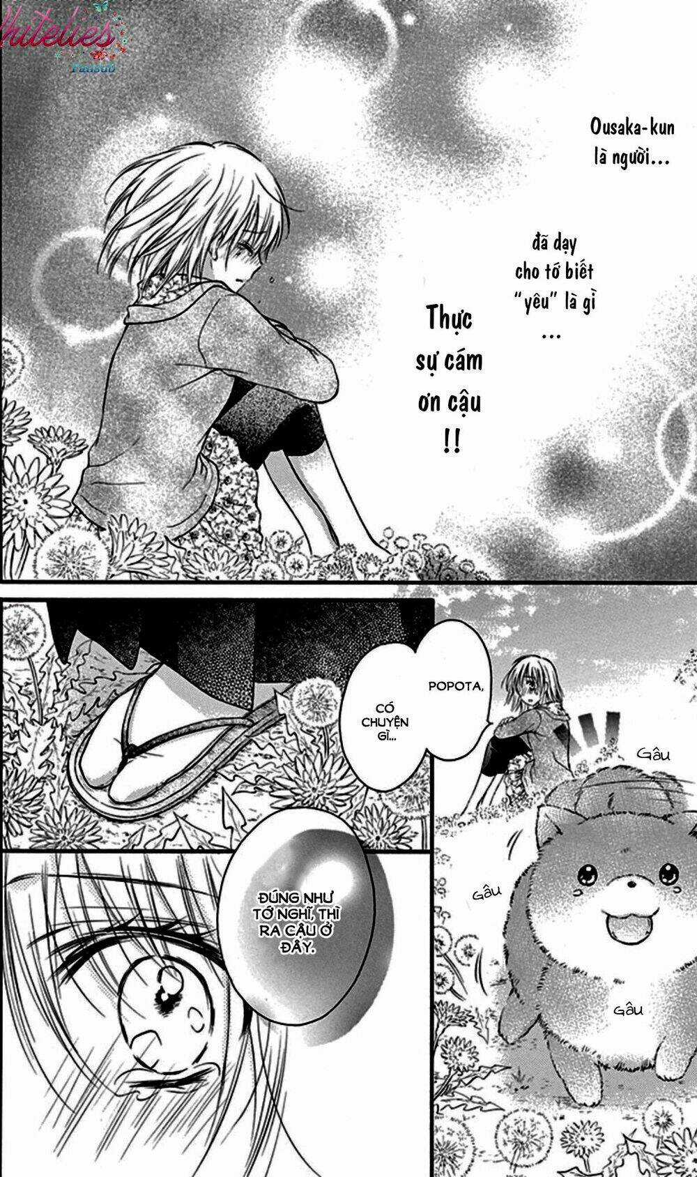 Hatsukoi Dandelion Chapter 5 trang 19