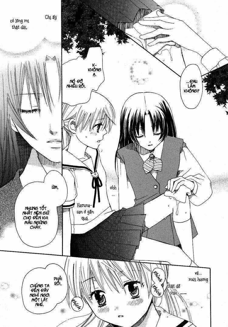 Hatsukoi Shimai ~ First Love Sisters Chapter 1 trang 15