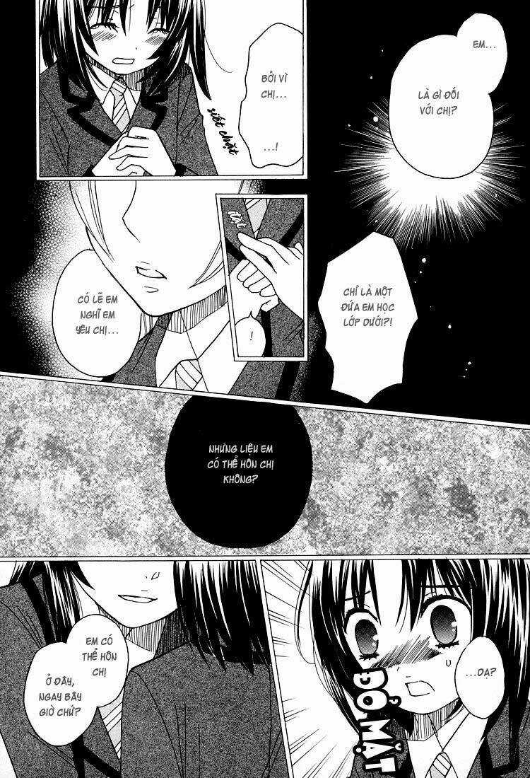 Hatsukoi Shimai ~ First Love Sisters Chapter 13 trang 19