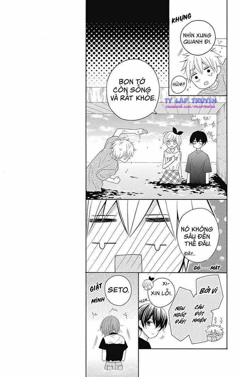 Hatsukoi To Taiyou Chapter 10 trang 14
