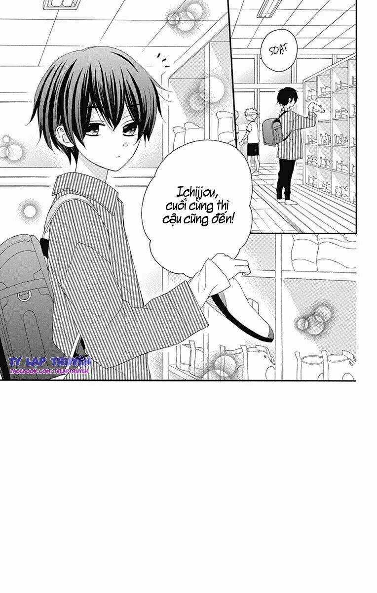 Hatsukoi To Taiyou Chapter 15 trang 4