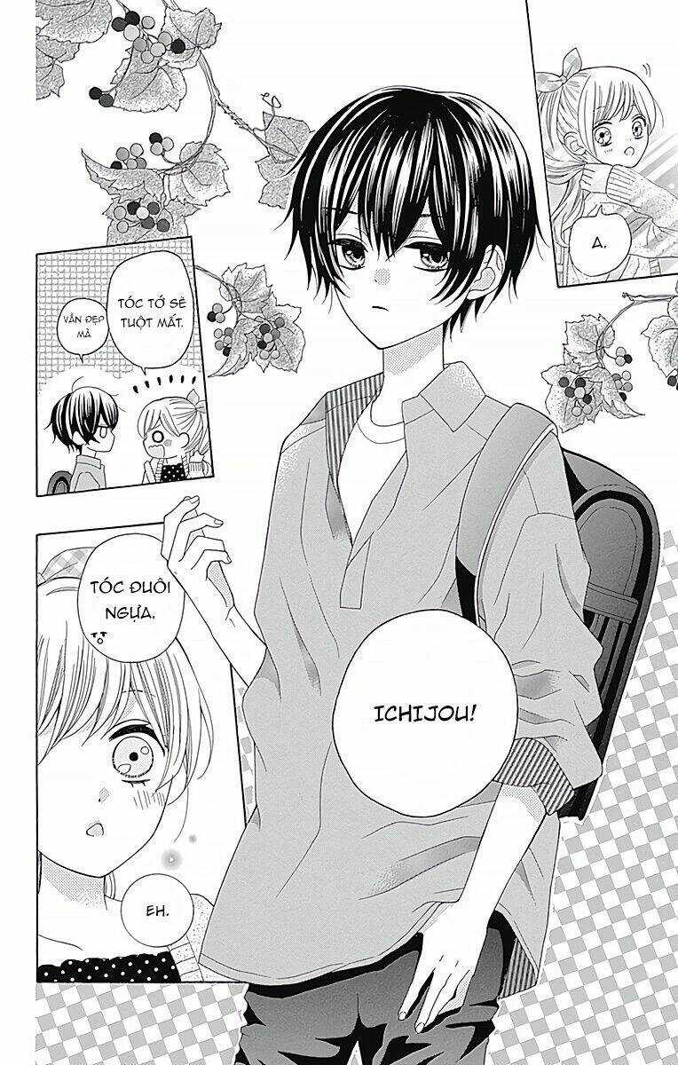 Hatsukoi To Taiyou Chapter 2 trang 4