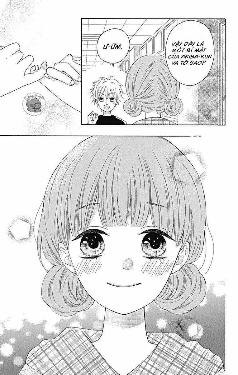 Hatsukoi To Taiyou Chapter 8 trang 15