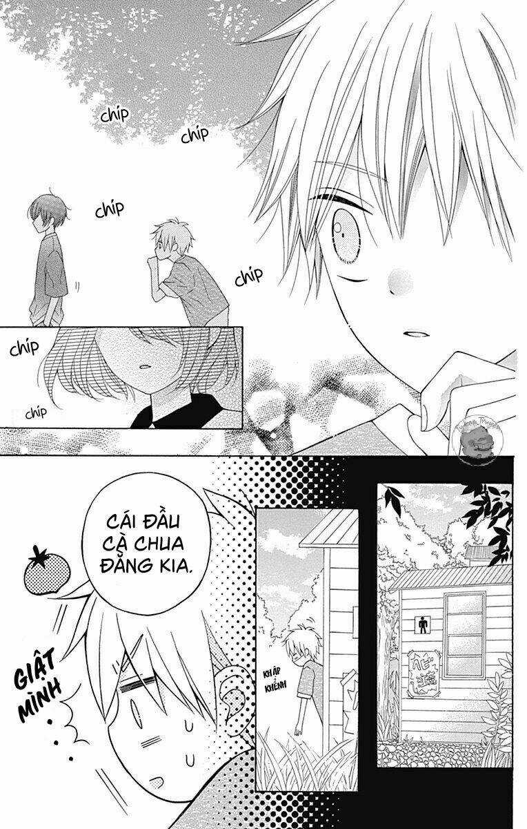 Hatsukoi To Taiyou Chapter 9 trang 24