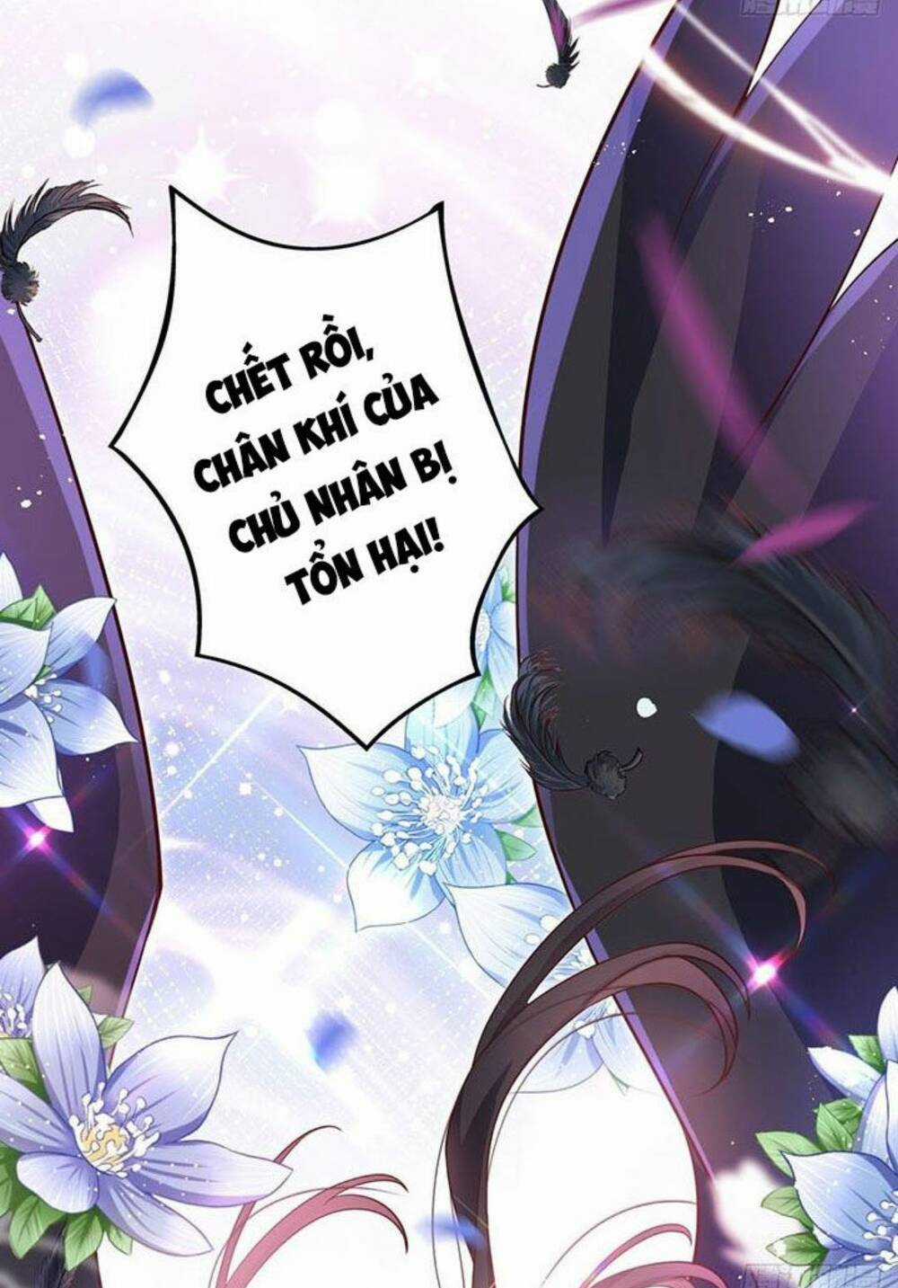 Hậu Cung Ba Ngàn Của Nãi Nãi Chapter 8 trang 5