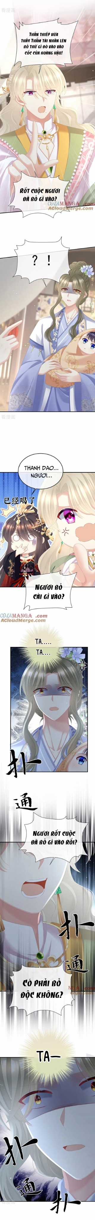 Hậu Cung Của Nữ Đế - Mùa 2 Chapter 100 trang 5