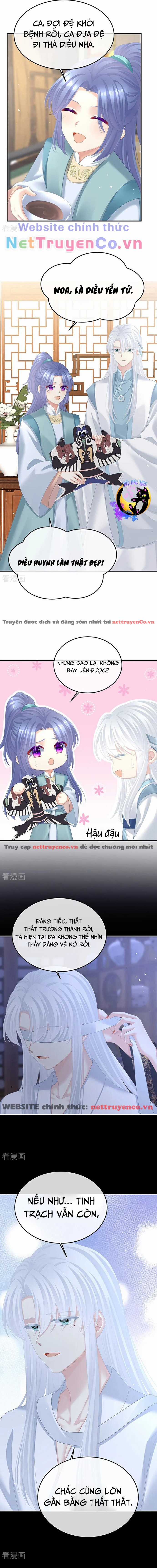 Hậu Cung Của Nữ Đế - Mùa 2 Chapter 28 trang 1