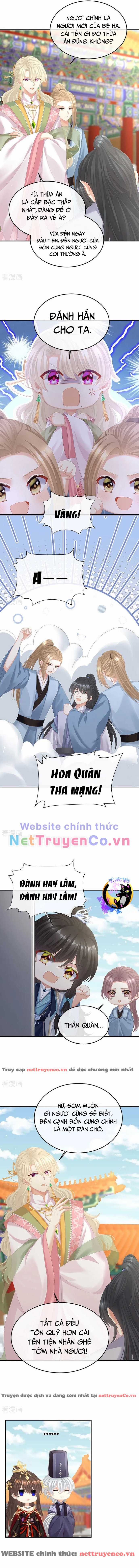 Hậu Cung Của Nữ Đế - Mùa 2 Chapter 35 trang 2