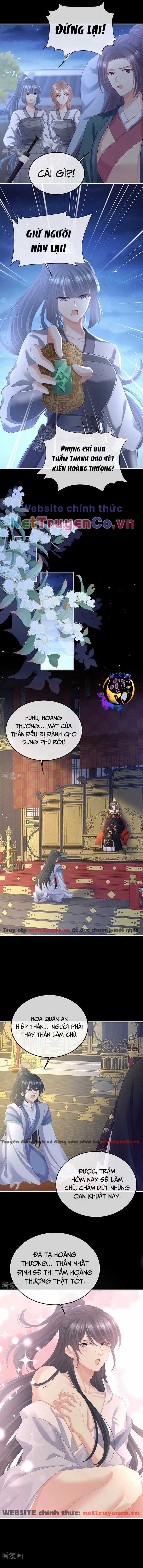 Hậu Cung Của Nữ Đế - Mùa 2 Chapter 35 trang 5