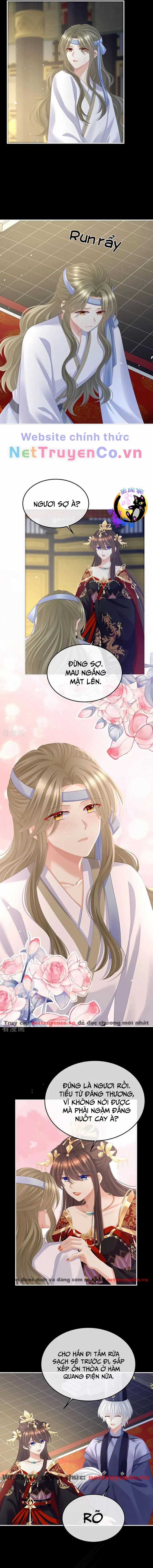 Hậu Cung Của Nữ Đế - Mùa 2 Chapter 36 trang 1