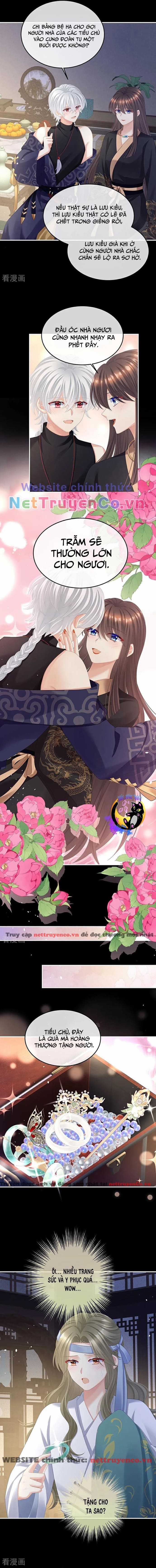 Hậu Cung Của Nữ Đế - Mùa 2 Chapter 36 trang 5