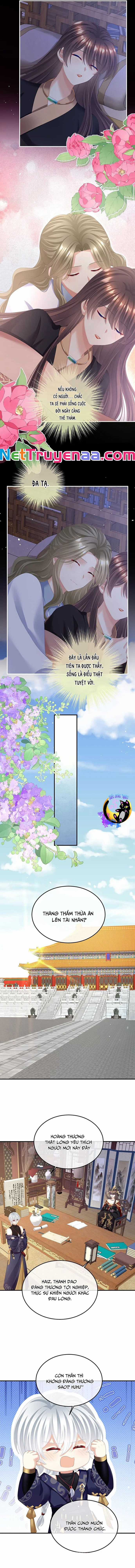 Hậu Cung Của Nữ Đế - Mùa 2 Chapter 38 trang 5