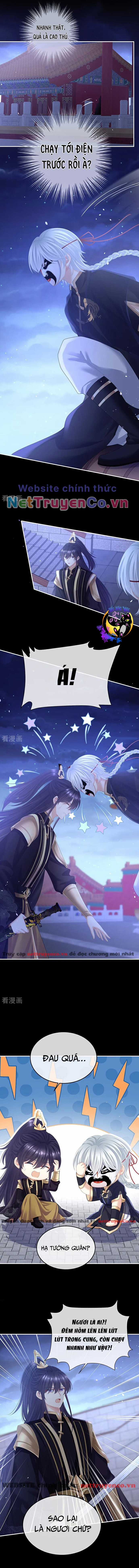 Hậu Cung Của Nữ Đế - Mùa 2 Chapter 40 trang 4