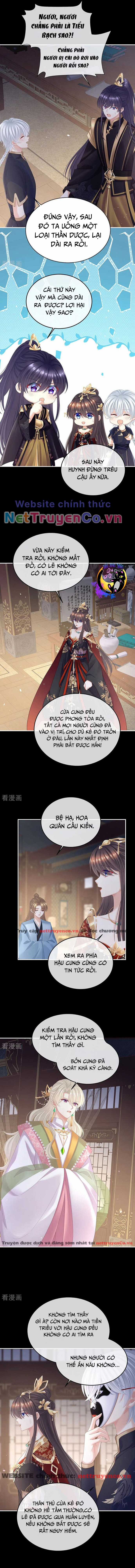 Hậu Cung Của Nữ Đế - Mùa 2 Chapter 41 trang 1