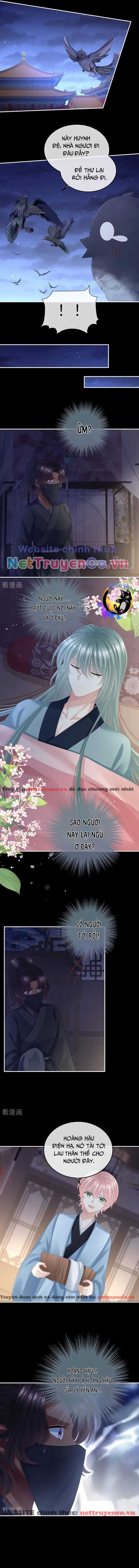 Hậu Cung Của Nữ Đế - Mùa 2 Chapter 41 trang 3