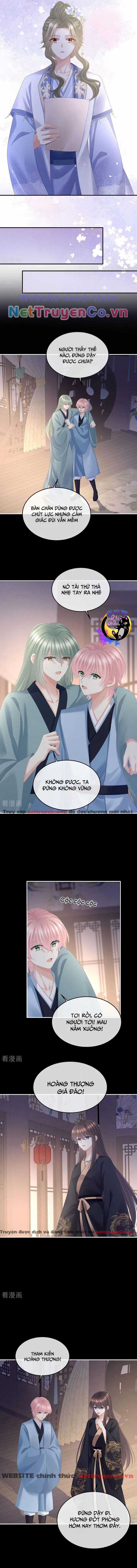 Hậu Cung Của Nữ Đế - Mùa 2 Chapter 43 trang 4