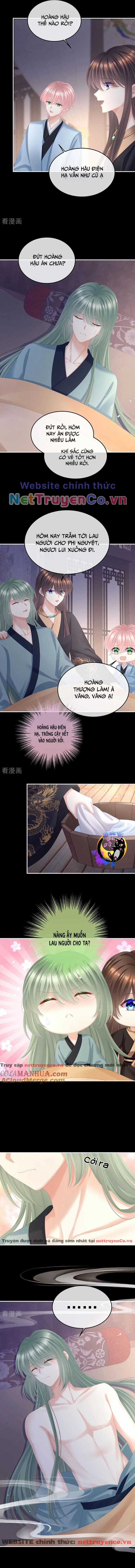 Hậu Cung Của Nữ Đế - Mùa 2 Chapter 43 trang 5